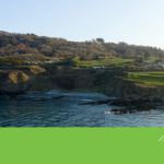 The Big Dig: Help Plant 3,000 Native Trees at Bray Head!